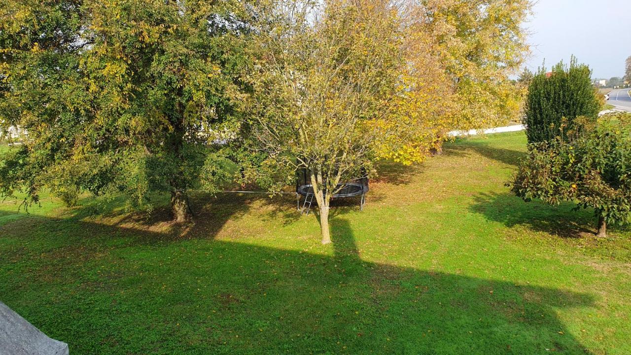Niko Casa - 3 Bedroom Townhouse Ceggia Zewnętrze zdjęcie